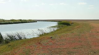 <span class="mw-page-title-main">Kulanotpes</span> River in Kazakhstan