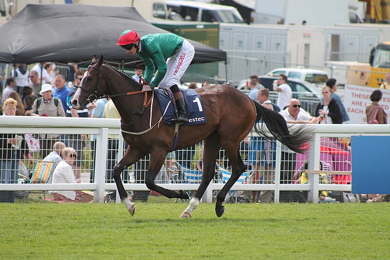 File:013b Epsom Derby Day 2015 - Investec Woodcote Stakes - Aleko and Adam Kirby going to post (18401823998).jpg