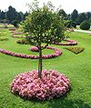 Palmhouse Parterre