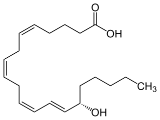 <span class="mw-page-title-main">15-Hydroxyeicosatetraenoic acid</span> Chemical compound