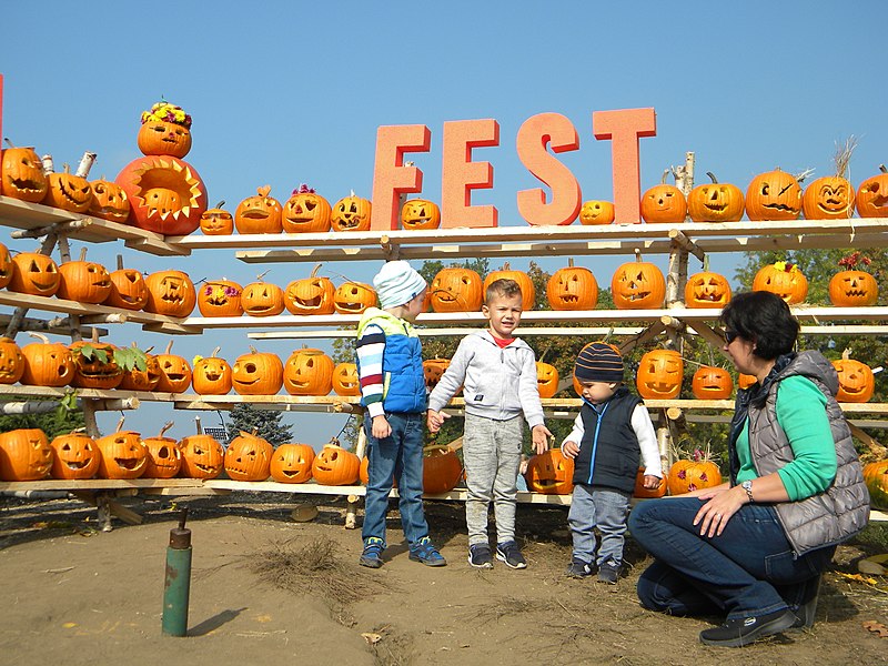 File:15. Bucharest, Romania. Pumpkin Fest. Primul Festival de Halloween din Romania. Oct. 2019 (capatane de dovleci si copii).jpg