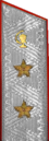 погоны 1955