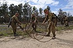 Vignette pour Royal Australian Engineers