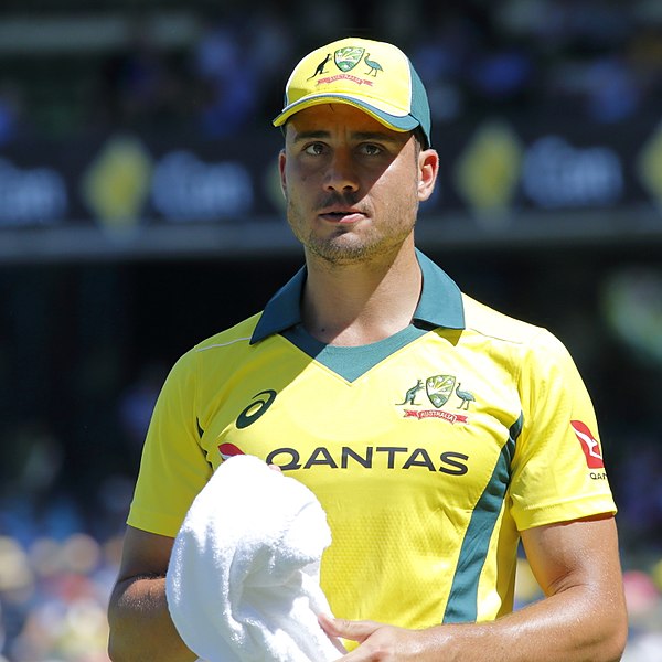 Stoinis in 2018