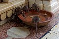 20191212 Szczury w Świątyni Karni Maty w Deśnok 1031 8081 DxO.jpg