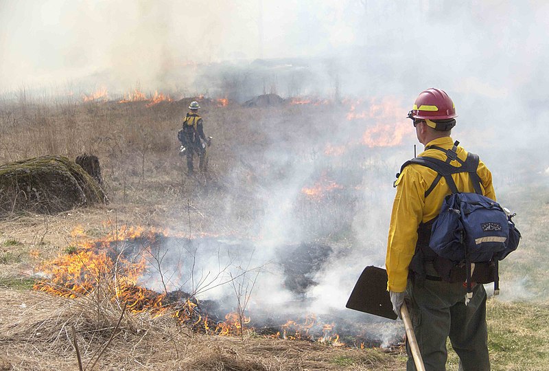 File:2019 BushmanSlyder Prescribed Fire. (d6b39329-106e-433f-b37b-00bf81ef35b8).jpg