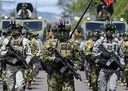 Fuerzas Militares De Colombia: Historia, Personal, Estructura
