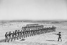 three lines of men in echelon holding rifles with bayonets fixed, each line is faced by one instructor demonstrating bayonet technique