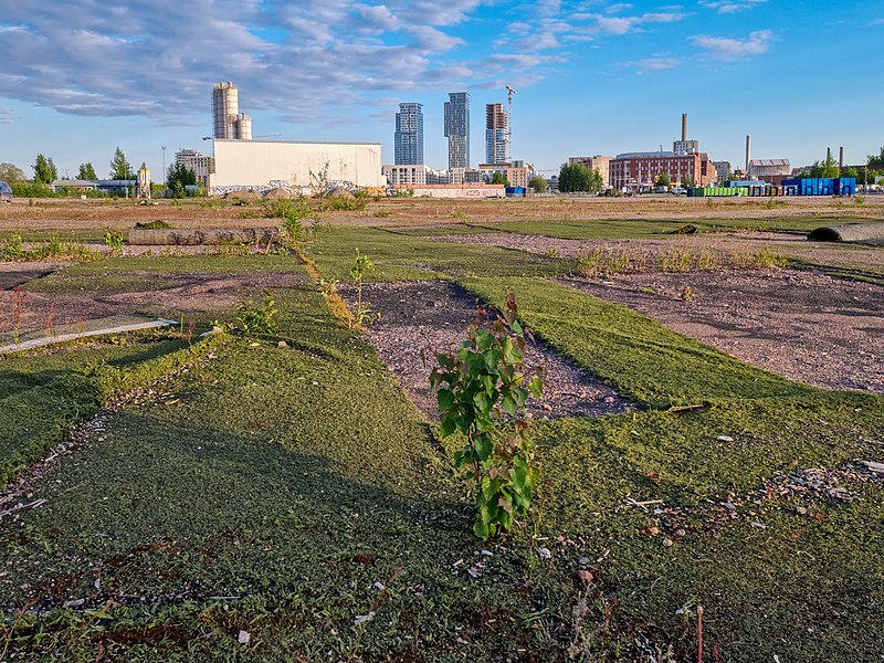 File:Abandoned artificial turf in Hermanninranta, Helsinki, Finland, 2021.jpg