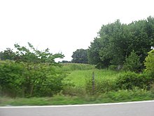 Aberdeen Mound from a distance.jpg