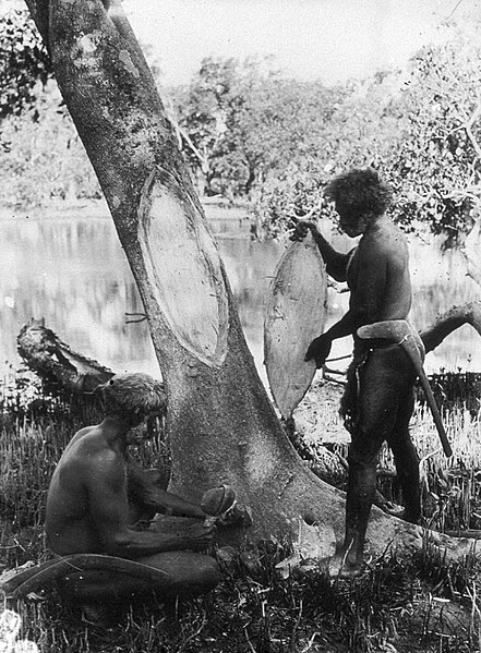 File:Aboriginal men making bark shields, ca 1905.jpg