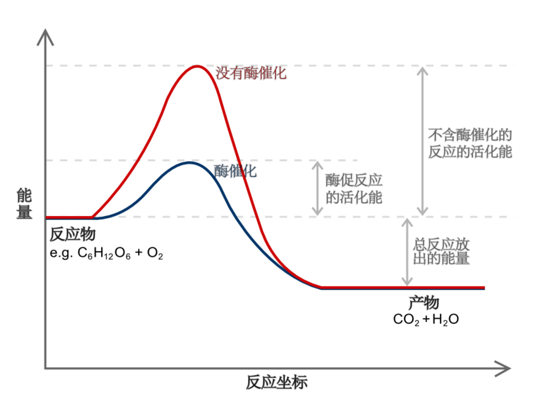 反應坐標