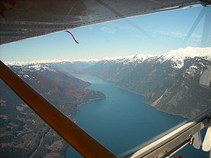 The back half of Harrison Lake, seen from the air.