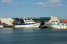 La criée aux poissons, côté quai