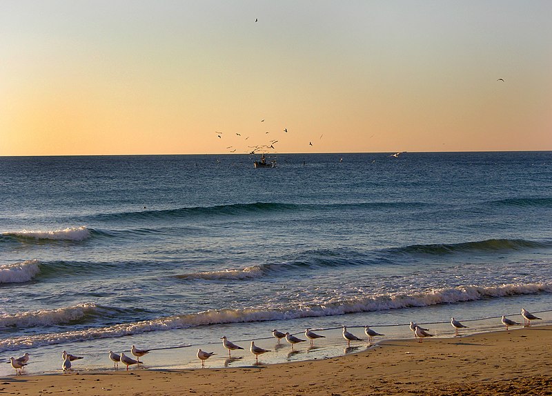 File:Alassio Beach.jpg