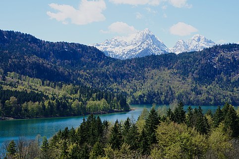 Alpensee view from Schloss Hohenschwangau ( Bavaria)