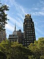 A cool building in Manhattan from a garden