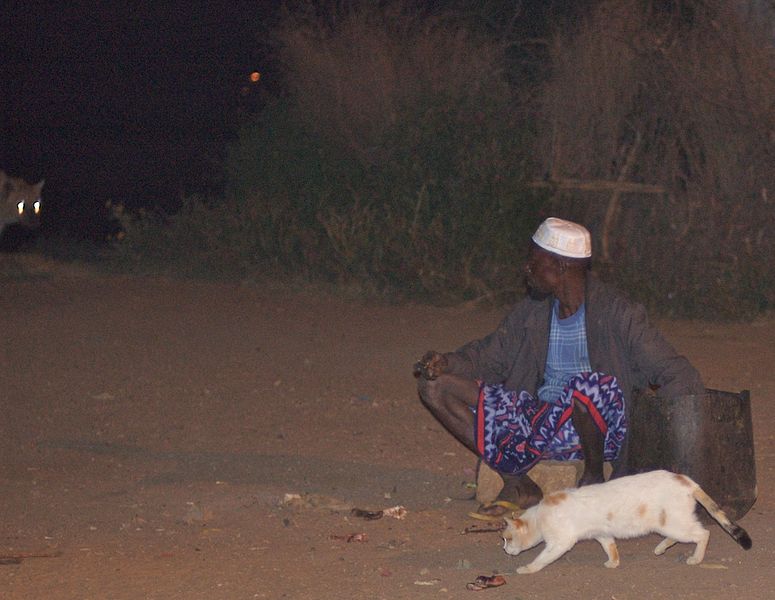 File:An Evening With The Hyena Man (No Cats Were Harmed) (2203296036).jpg