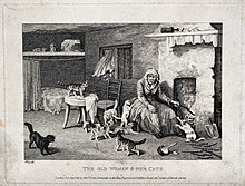 "The old woman and her cats", 1811 An old lady is enraged when her cats disturb her stoking the Wellcome V0022915.jpg