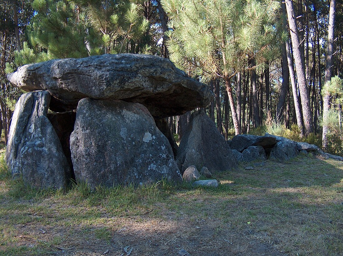 Anta da Cerqueira