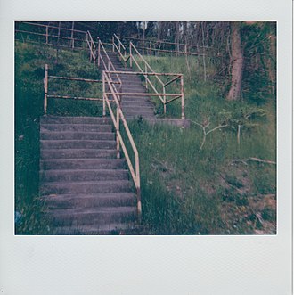 The Atmore Street city steps in Marshall Shadeland. Photo by Laura Zurowski. Atmore Street city steps Marshall Shadeland Pittsburgh.jpg