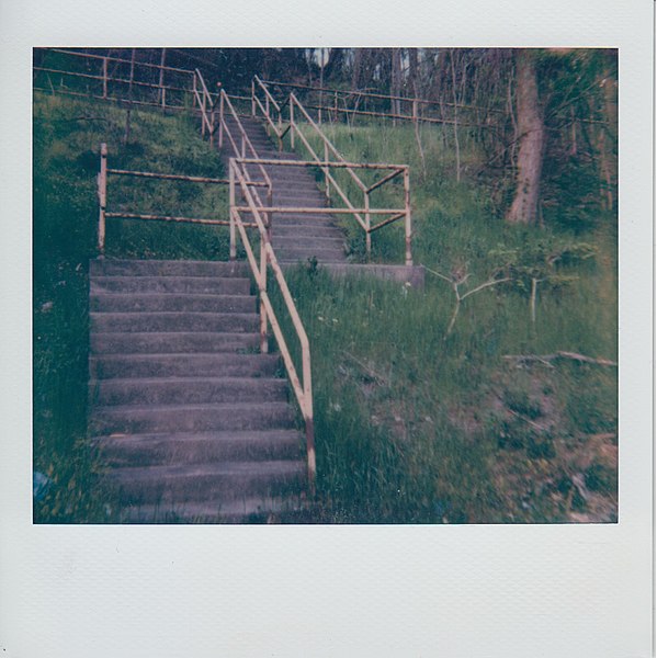 The Atmore Street city steps in Marshall Shadeland. Photo by Laura Zurowski.