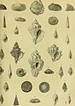 Atti dell'Accademia di Scienze, Lettere e Arti di Palermo (1859) (19726155073).jpg