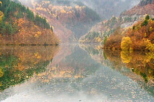 Paysage automnal dans les Rhodopes en Bulgarie. (définition réelle 800 × 533)