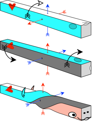 <span class="mw-page-title-main">Axial Twist theory</span> Scientific theory in vertebrate development