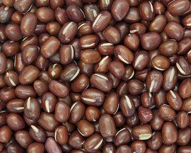 Picture of Adzuki Beans (Vigna angularis).