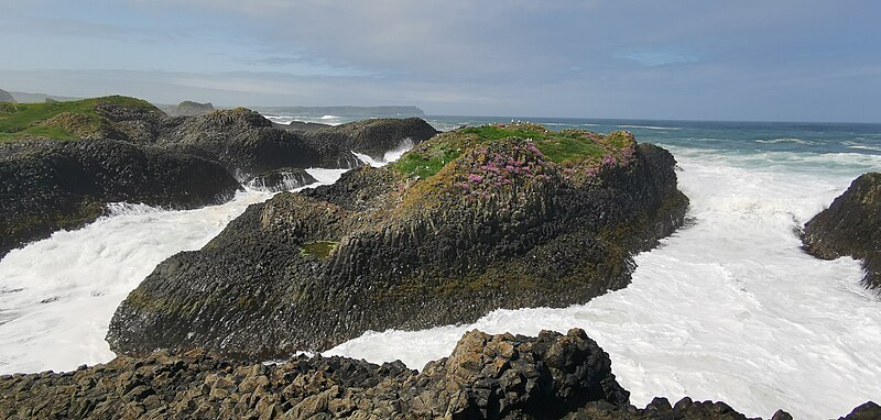 File:Ballintoy harbor 2023-05-25 7.jpg