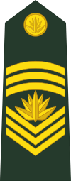 Bangladesh-army-OR-9.svg