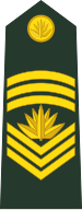 File:Bangladesh-army-OR-9.svg