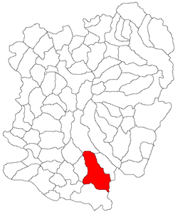 Location in Caraș-Severin County