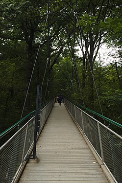 This suspension bridge is part of the tree-top adventure trail in Vienna's zoo.