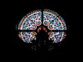 L'église Sainte-Rosalie – stained glass window