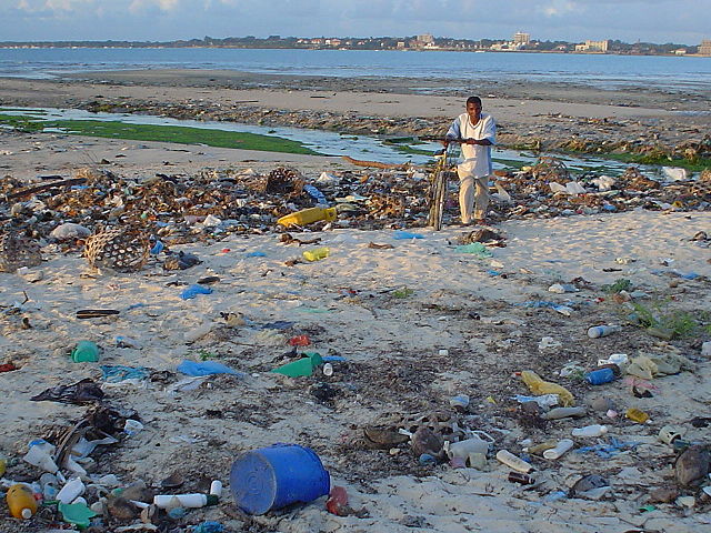 Debris on beach near Dar es Salaam, Tanzania