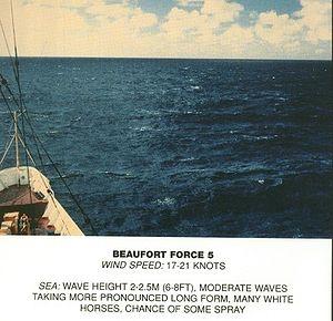 Escala de Beaufort, fuerza 5