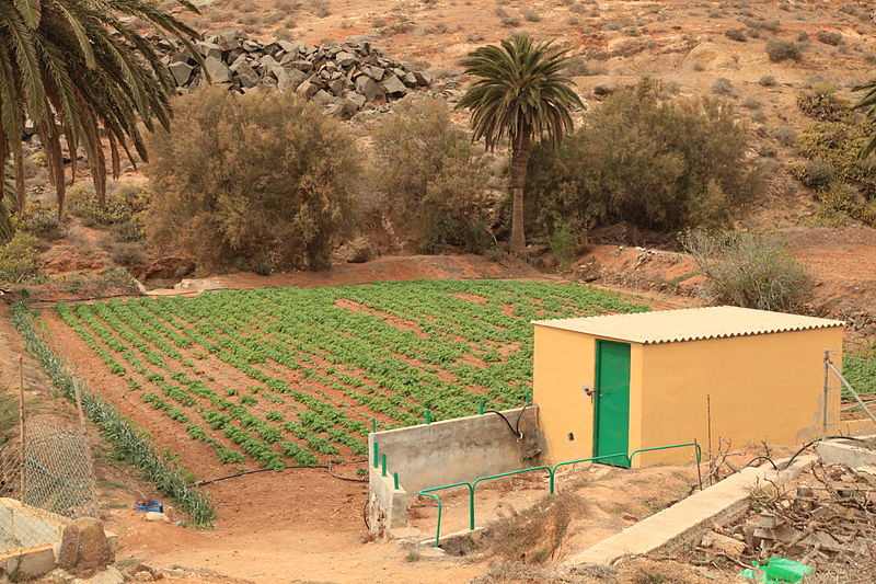 File:Betancuria village - FV-30-Calle de Roberto Roldán 02 ies.jpg