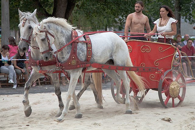 Reconstructed Roman chariot drawn by horses.