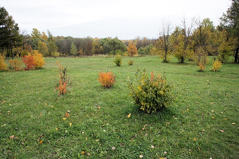 File:Biryulyovskiy Arboretum 01.jpg