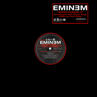 <span class="mw-page-title-main">Bitch Please II</span> 2000 single by Eminem