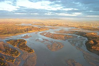 <span class="mw-page-title-main">Tanana River</span> River in Alaska, United States