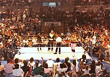 After failing to win the WWF Championship, DiBiase created his own title, the Million Dollar Championship. Bret Hart vs. Ted DiBiase - 1991-04-15 - 01.jpg