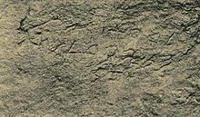Sort-hvidt billede af gammel sten-udskåret skrift.