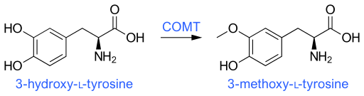 File:COMT activity.svg