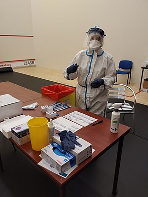 Pandemie Covidu-19 V Česku: Průběh, Testování, Sekvenování