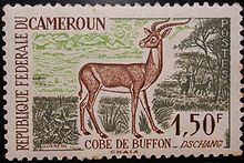 Stamp of the Federal Republic of Cameroun issued in 1962. Camaroes Cobe de Buffon.JPG