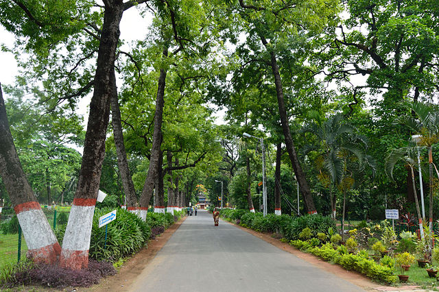 Image: Campus Road   Bengal Engineering and Science University   Sibpur   Howrah 2013 06 08 9317