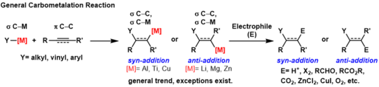 Carbometalation General Overview.png